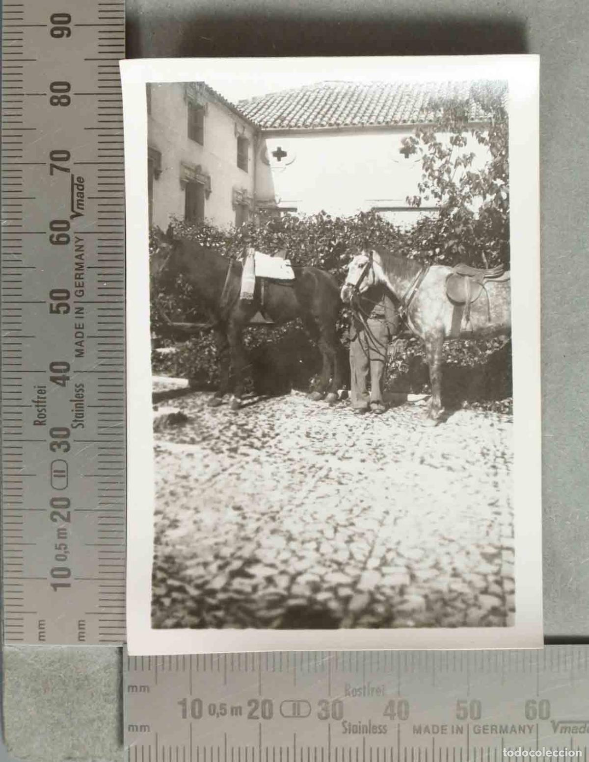 Fotografia antiga: FOTOGRAFIA. CABALLOS CORTIJO hacia 1940