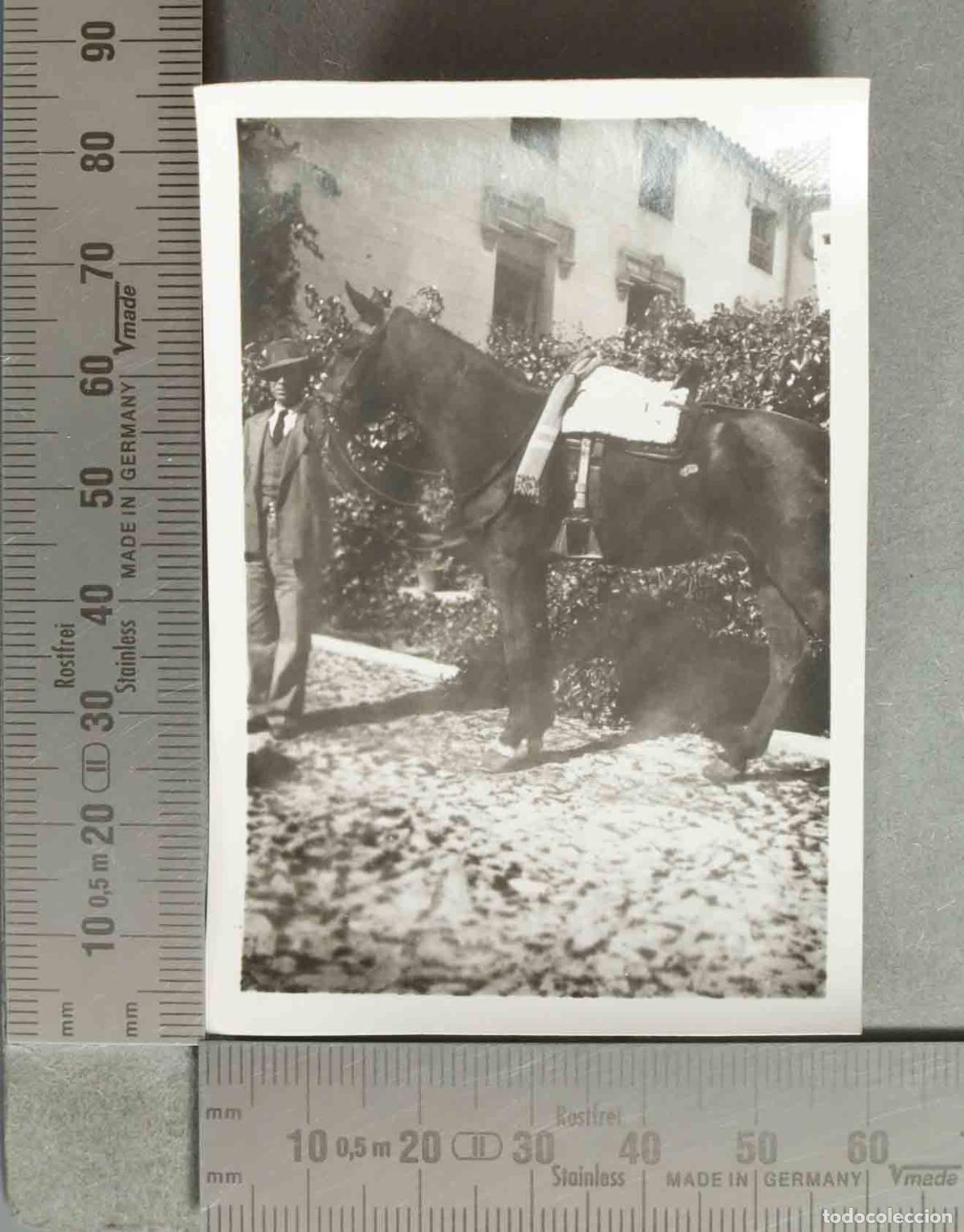 Photographie ancienne: FOTOGRAFIA. CABALLO hacia 1940