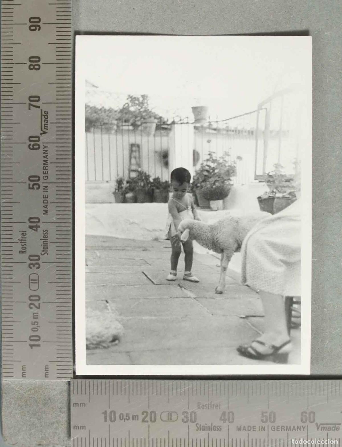 Fotografia antiga: FOTOGRAFIA. NI&Ntilde;O CON OVEJA. hacia 1940