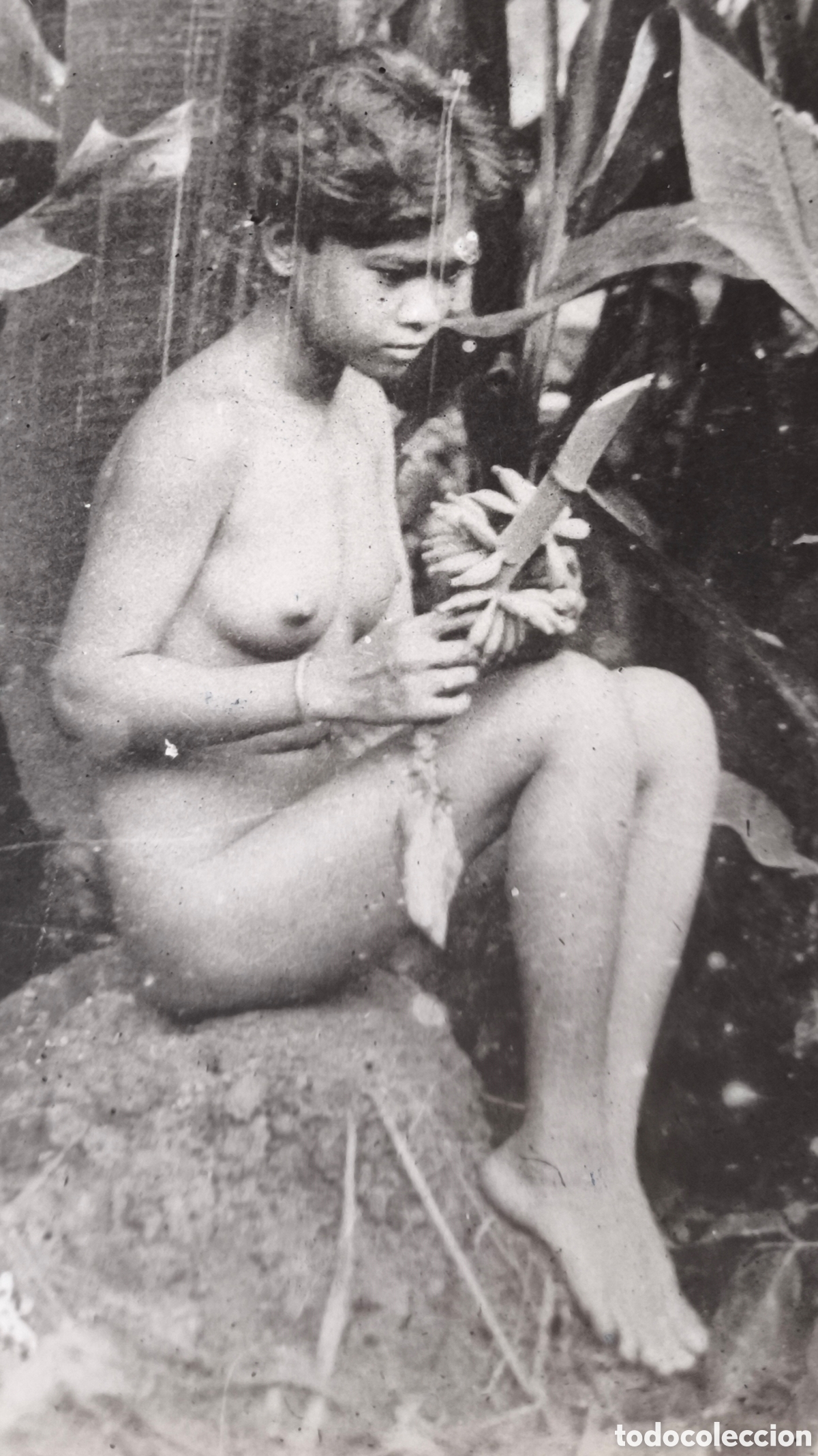 Antique Photography: VIETNAM NUDE FEMALE NATIVE PHOTO 1965