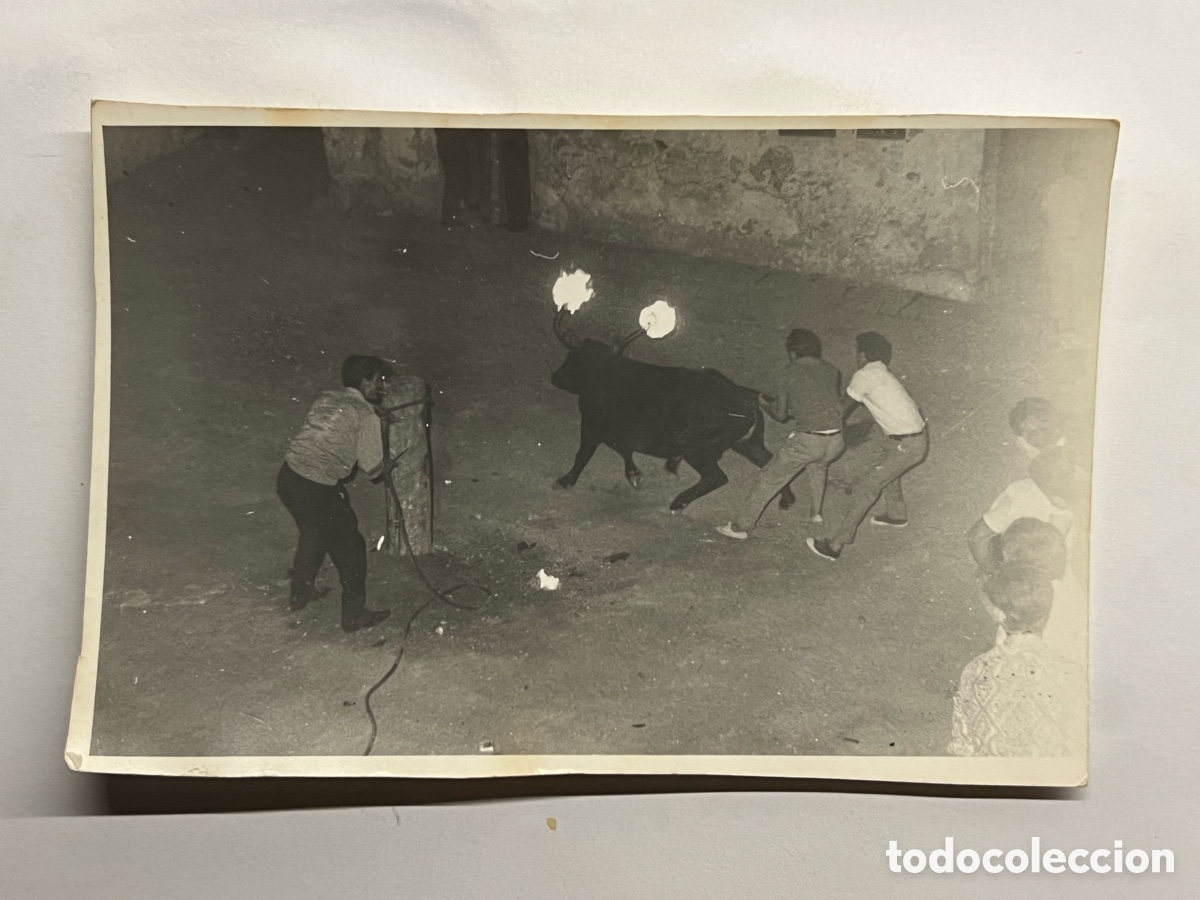 Fotograf&iacute;a antigua: TOROS. ALGIMIA DE ALFARA (Valencia) Fotograf&iacute;a Bou embolat al carrer. Septiembre de 1971