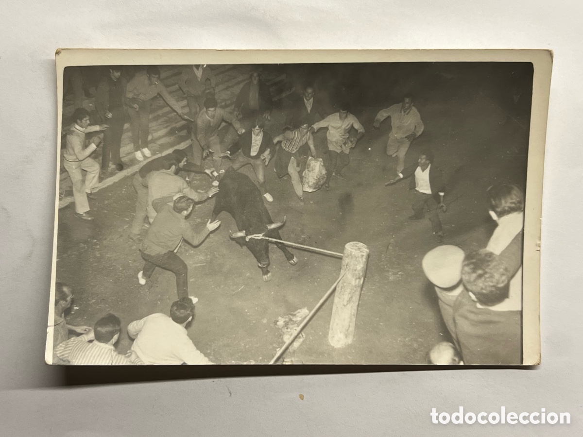 Fotograf&iacute;a antigua: TOROS. ALGIMIA DE ALFARA (Valencia) Fotograf&iacute;a Bou embolat al carrer. Septiembre de 1971