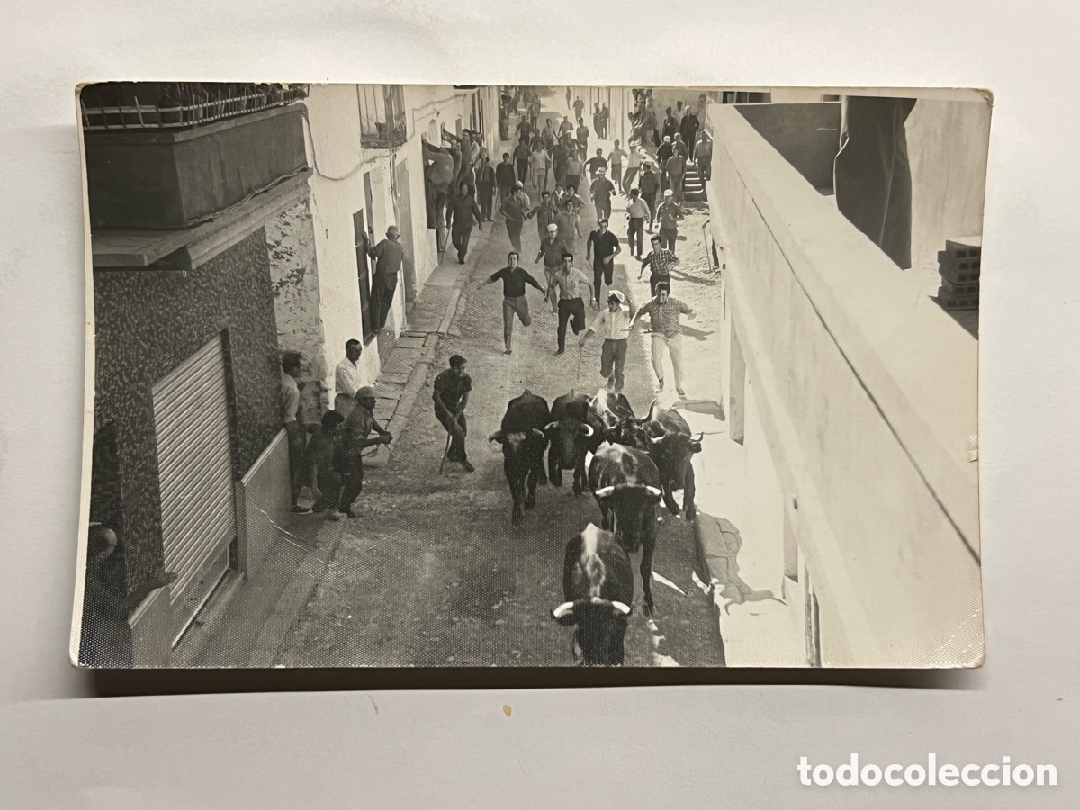 Fotograf&iacute;a antigua: TOROS. ALGIMIA DE ALFARA (Valencia) Fotograf&iacute;a Entra de Bous al mitg d&iacute;a.. Septiembre de 1971