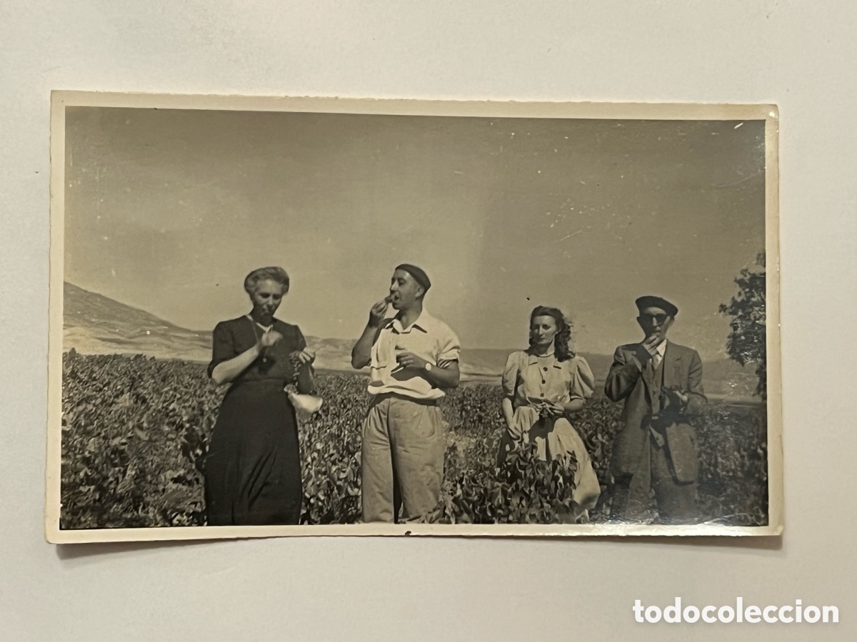 Fotografia antica: LUMBIER (Navarra) Fotograf&iacute;a en el Vi&ntilde;edo&hellip; catando las uvas.. Septiembre de 1948