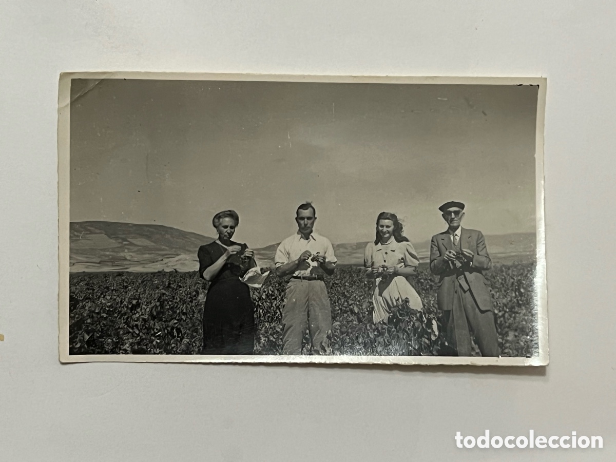 Photographie ancienne: LUMBIER (Navarra) Fotograf&iacute;a en el Vi&ntilde;edo&hellip; catando las uvas.. Septiembre de 1948