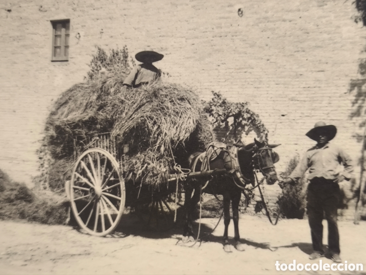 Fotograf&iacute;a antigua: GUARDIOLA DE FONT-RUB&Iacute; FOTOGRAF&Iacute;A PAGESOS ESCENA RURAL ALT PENED&Egrave;S