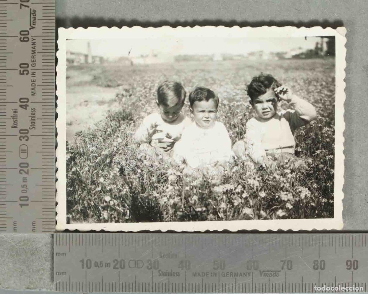 Fotograf&iacute;a antigua: FOTOGRAFIA. Tres ni&ntilde;os sentados en un campo de flores silvestres hacia 1940