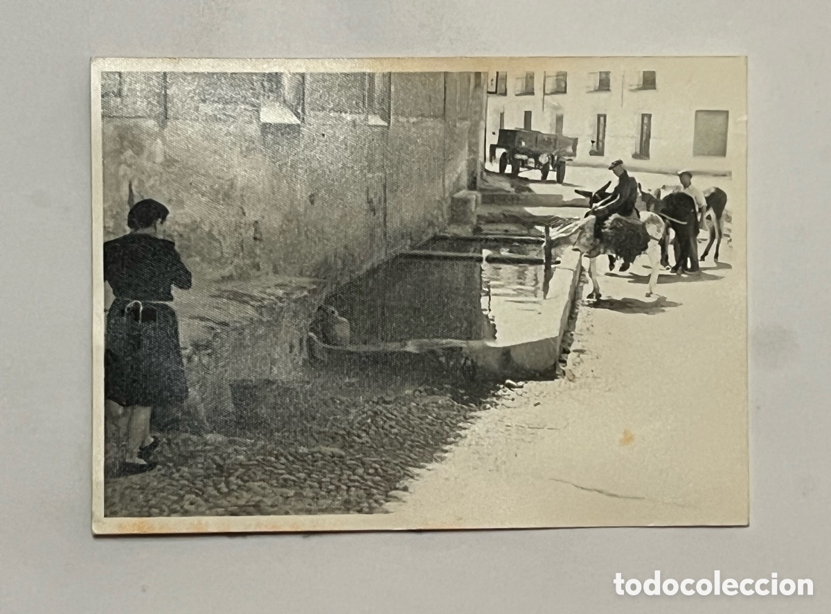 Fotograf&iacute;a antigua: ABREVADERO.. Abrevando las bestias.. en alg&uacute;n lugar de la Comunidad Valenciana (h.1960?)