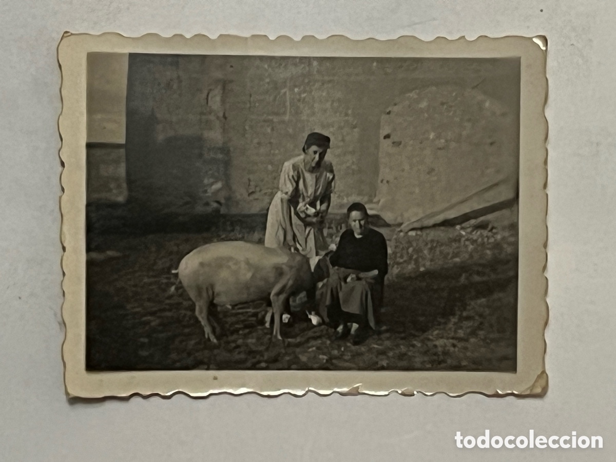 Fotograf&iacute;a antigua: MANZANARES (C. Real) Fotograf&iacute;a Engordando al Cerdo.. Estudio fotogr&aacute;fico Vda de J. Ucles (a.1947)