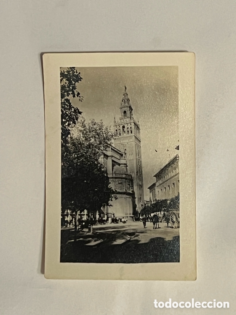 Fotograf&iacute;a antigua: SEVILLA. Fotograf&iacute;a La Giralda, vista desde la Puerta del Alcazar&hellip; (h.1930?)