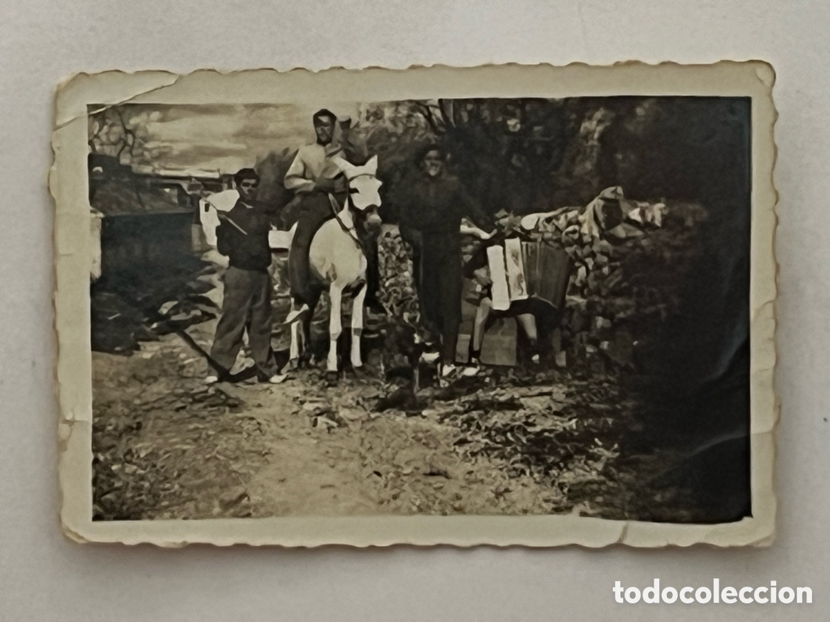 Fotograf&iacute;a antigua: VALENCIA. Fotograf&iacute;a en la huerta&hellip; El Asno, se&ntilde;or con azada y el joven del Acorde&oacute;n&hellip; (h.1945?)