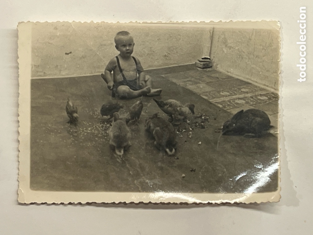 Fotograf&iacute;a antigua: PATERNA, Valencia. Joaqu&iacute;n en el patio de casa jugando con los Conejos. Verano de 1950