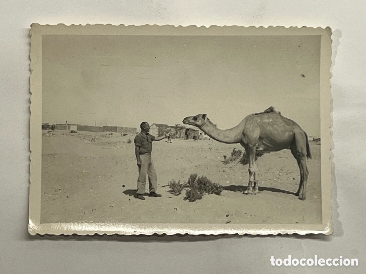 Fotograf&iacute;a antigua: SAHARA MILITAR ESPA&Ntilde;A. VILLA BENS. &Aacute;frica Occidental Espa&ntilde;ola.. Fotograf&iacute;a desde nuestras posiciones
