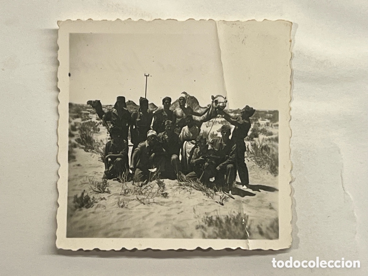 Fotograf&iacute;a antigua: SAHARA ESPA&Ntilde;OL.. Grupo de militares&hellip; Fotograf&iacute;a (h.1958?) Med&iacute;das: 6,5 x 6,5 cm.,