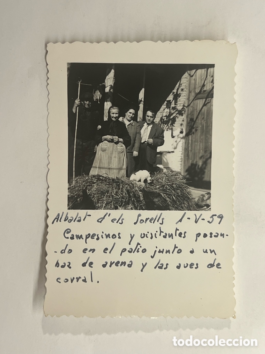 Fotograf&iacute;a antigua: ALBALAT DELS SORELLS.. La tranquila vida familiar del corral de casa (a.1959)
