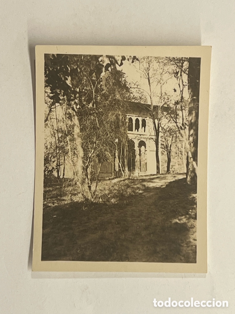 Fotograf&iacute;a antigua: VALENCIA. Palacio Ripalda.. Fotograf&iacute;a antigua, Fachada lateral y jard&iacute;n. (h.1920?)