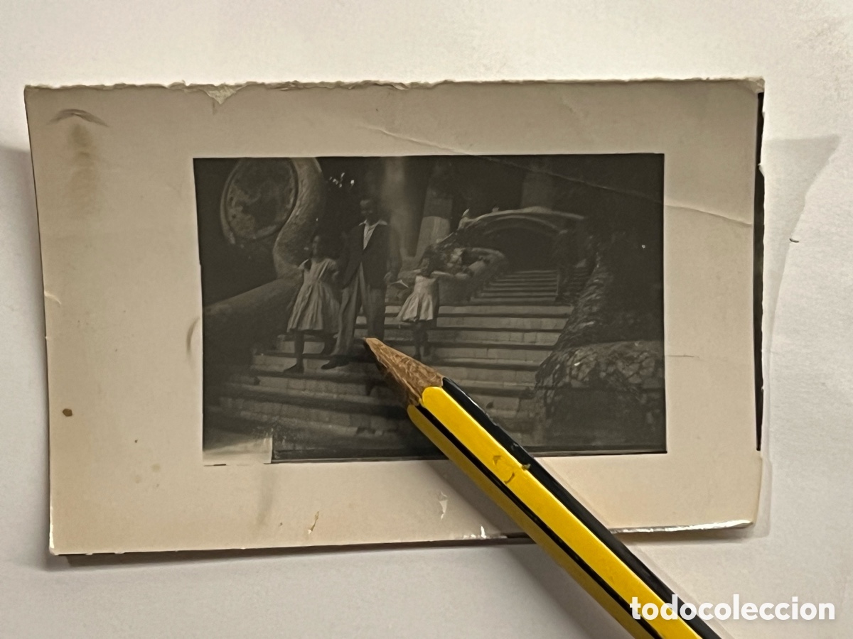 Fotograf&iacute;a antigua: BARCELONA. Fotograf&iacute;a antigua GAUDI - PARK GUEL. Escalinata del Drac.. (h.1930?)