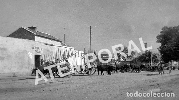 Fotograf&iacute;a antigua: Antiguo negativo Caldereria de Trocoli Cordoba