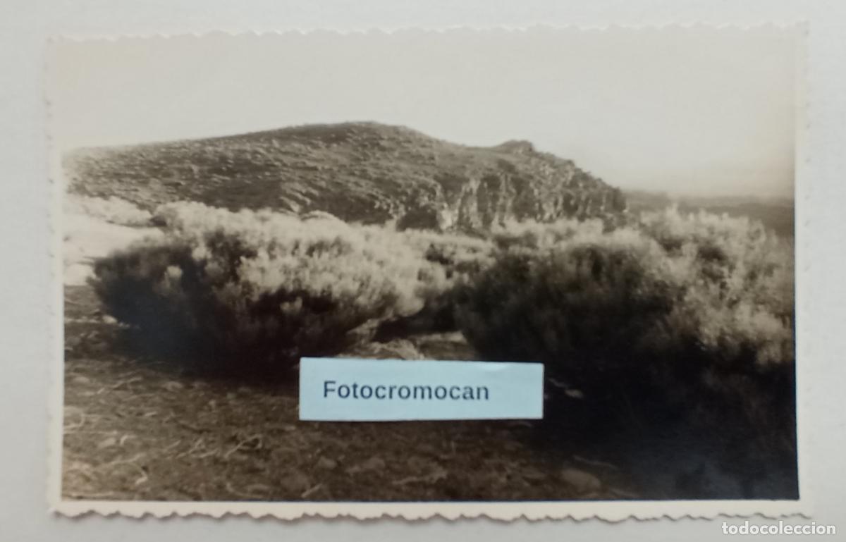 Fotograf&iacute;a antigua: FOTOGRAF&Iacute;A. ISLA DE TENERIFE. FOTO BAEZA