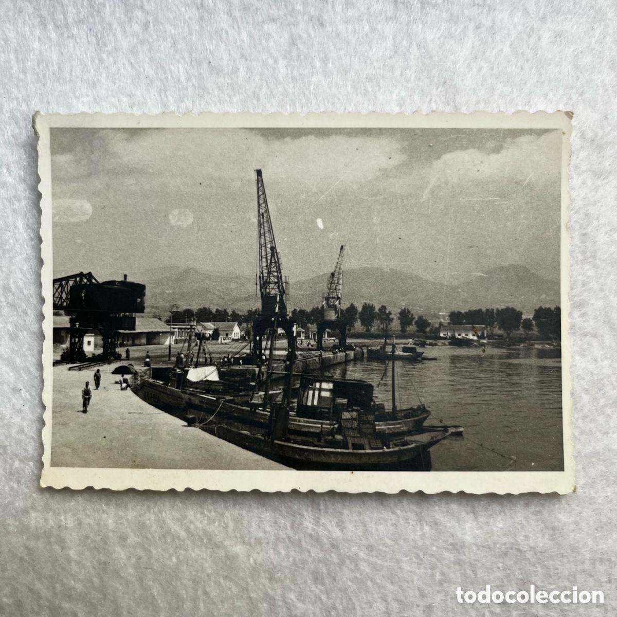 Fotograf&iacute;a antigua: FOTOGRAF&Iacute;A VISTA DEL PUERTO DE SANTA CRUZ DE TENERIFE