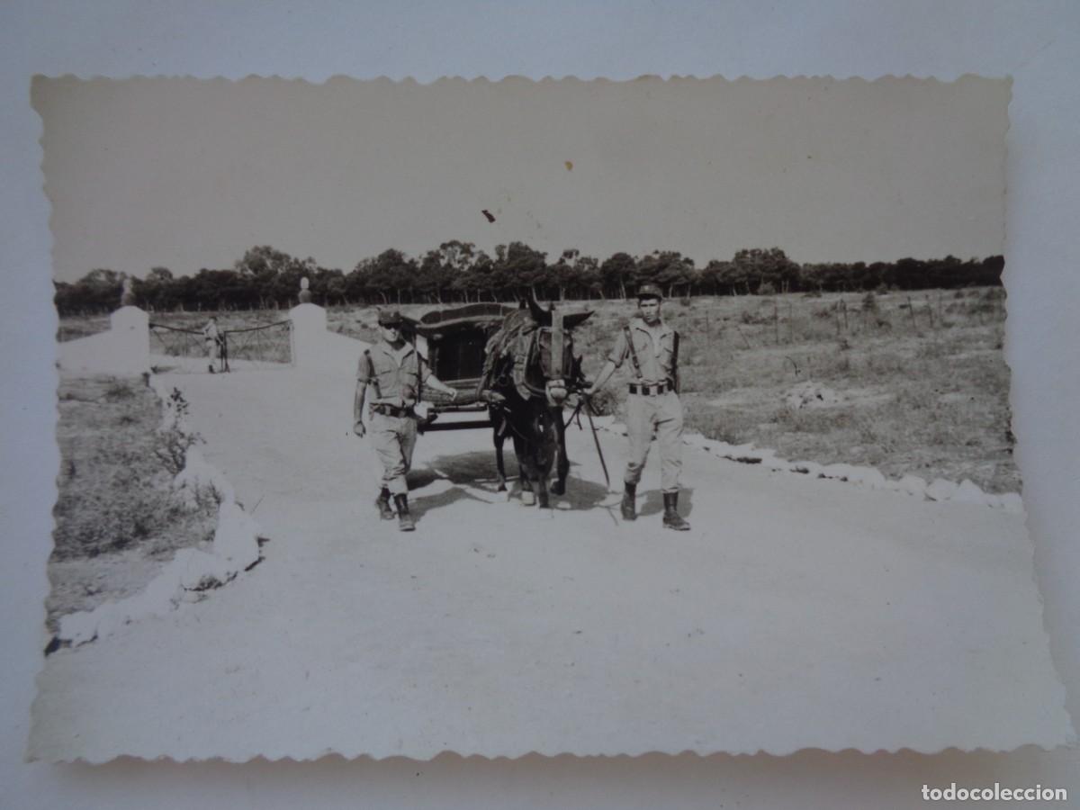 Antique Photography: FOTO DE MILITARES CON CARRO DE MULA