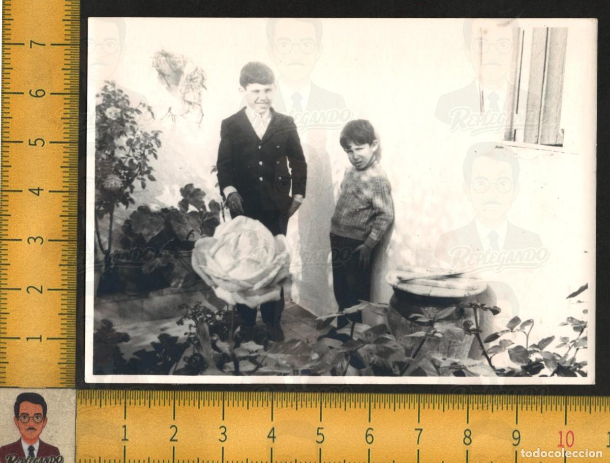 Fotograf&iacute;a antigua: HERMANOS POSAN JUNTO A GRAN ROSA - ROSAL FLORES PATIO CASA - FOTOGRAF&Iacute;A ANTIGUA FOTOMEC&Aacute;NICA A&Ntilde;OS 60