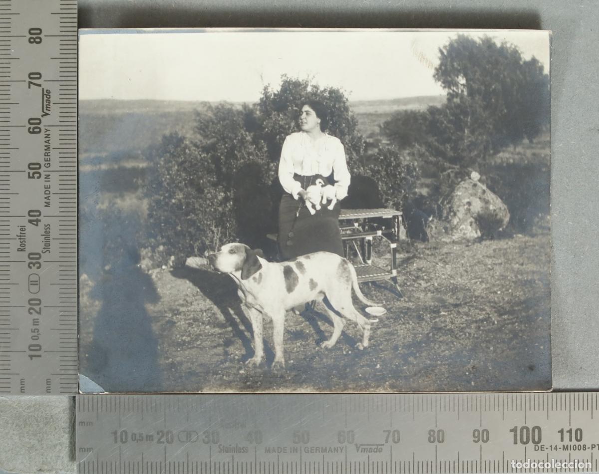 Fotograf&iacute;a antigua: FOTOGRAFIA. Mujer con perros en el campo hacia 1920