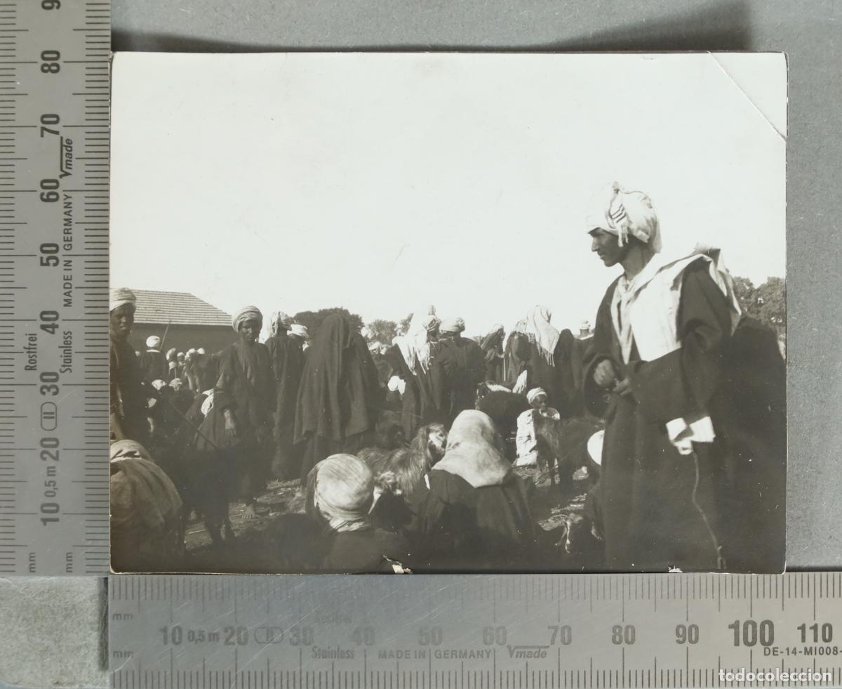 Fotograf&iacute;a antigua: FOTOGRAFIA. Mercado tradicional africano de animales. hacia 1920