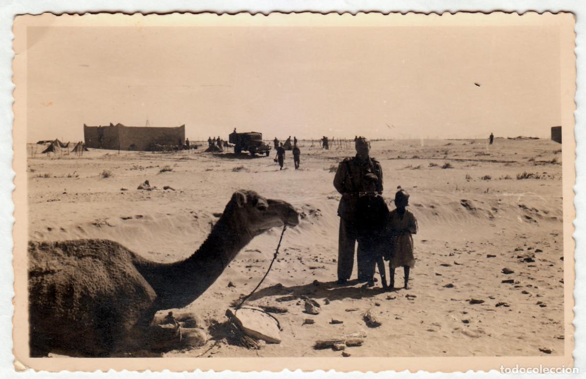 Fotograf&iacute;a antigua: Militar junto a un camello. Cami&oacute;n. Ej&eacute;rcito. Campamento. Puesto de Mando. Marruecos? A&ntilde;os 50 bm