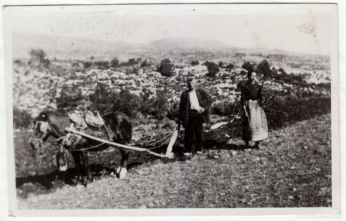 Fotograf&iacute;a antigua: Mundo rural. Labradores arando con su caballo. Salamanca. A&ntilde;os 40 bm