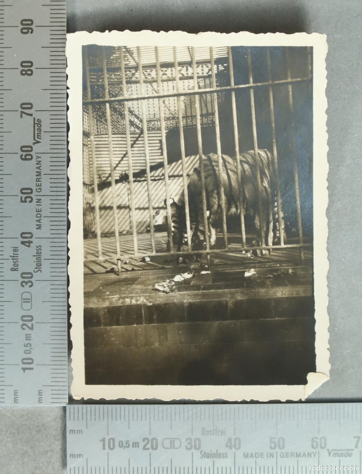 Fotograf&iacute;a antigua: FOTOGRAFIA. &iquest;CASA DE FIERAS CASA DE CAMPO? hacia 1930