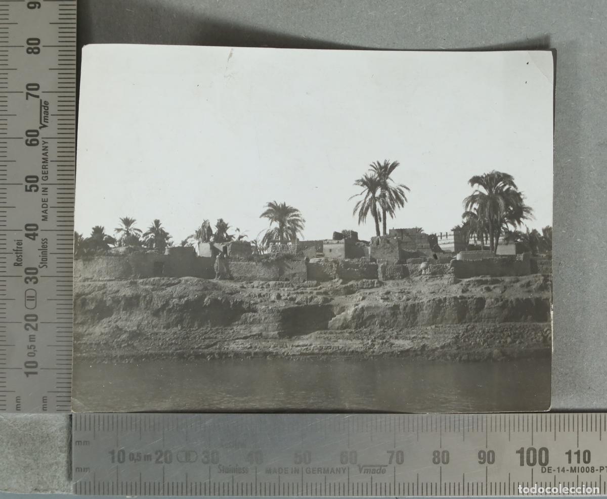 Fotograf&iacute;a antigua: FOTOGRAFIA. VISTA EGIPTO. hacia 1920