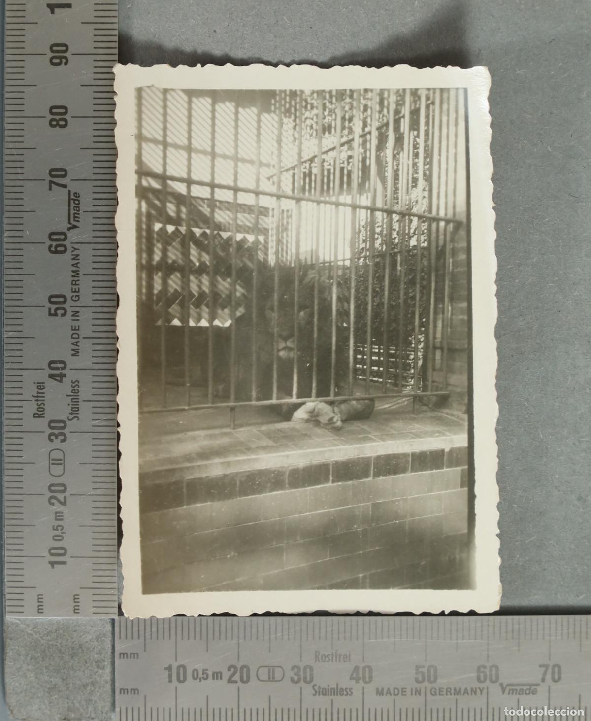 Fotograf&iacute;a antigua: FOTOGRAFIA. FIERAS. &iquest;CASA DE CAMPO? LEON hacia 1930