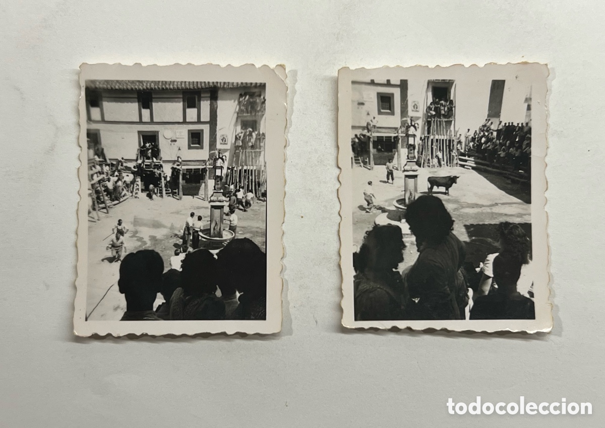 Photographie ancienne: ALTURA, SEGORBE, Alto Palancia (2) fotograf&iacute;as Toros.. Fiestas populares (h.1955?) Med&iacute;das: 4,5 x 6
