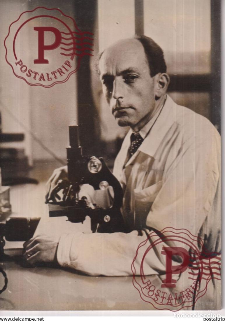 Photographie ancienne: DOCTEUR WILLY ROSSET LABRATOIRE BOURSE YERSIN 18*13CM press photo SCIENTIST