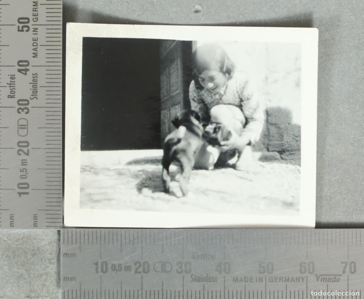 Photographie ancienne: FOTOGRAFIA. Ni&ntilde;a jugando con un perro. hacia 1920