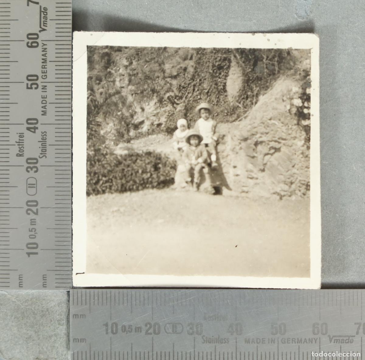 Fotograf&iacute;a antigua: FOTOGRAFIA. Ni&ntilde;os en el campo hacia 1920