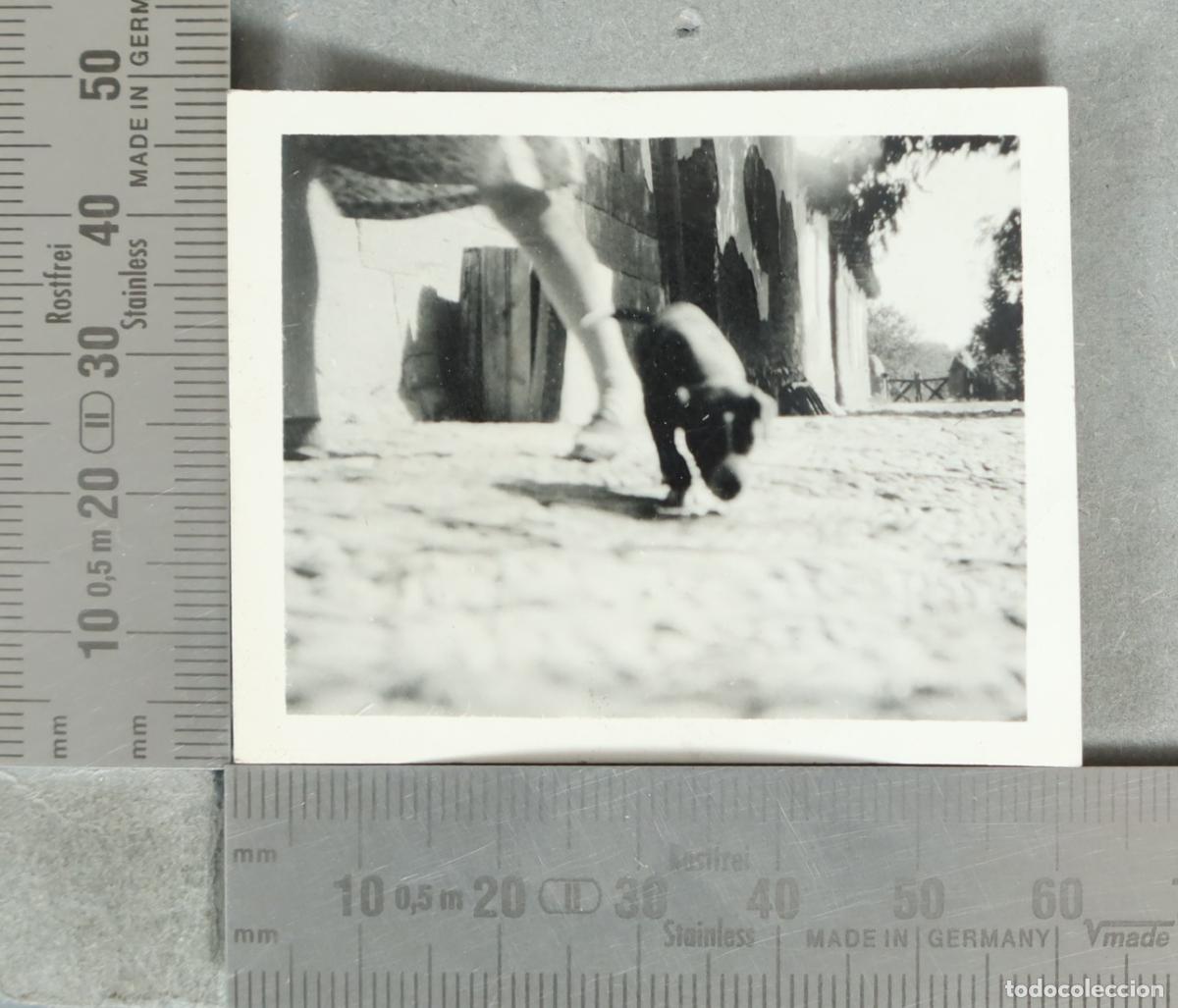 Fotograf&iacute;a antigua: FOTOGRAFIA. Persona con cachorro hacia 1930