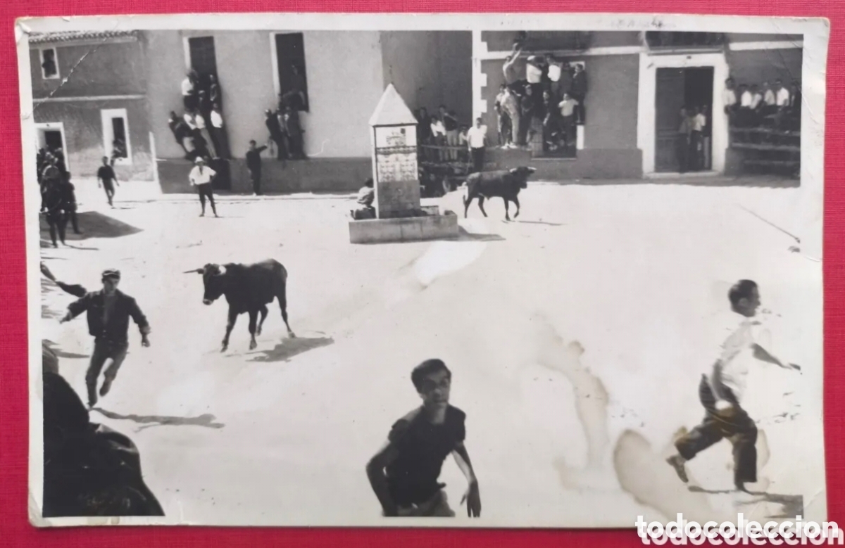 Fotograf&iacute;a antigua: ELCHE DE LA SIERRA PLAZA VIEJA SUELTA VAQUILLAS FIESTA POPULAR ALBACETE C. 1965