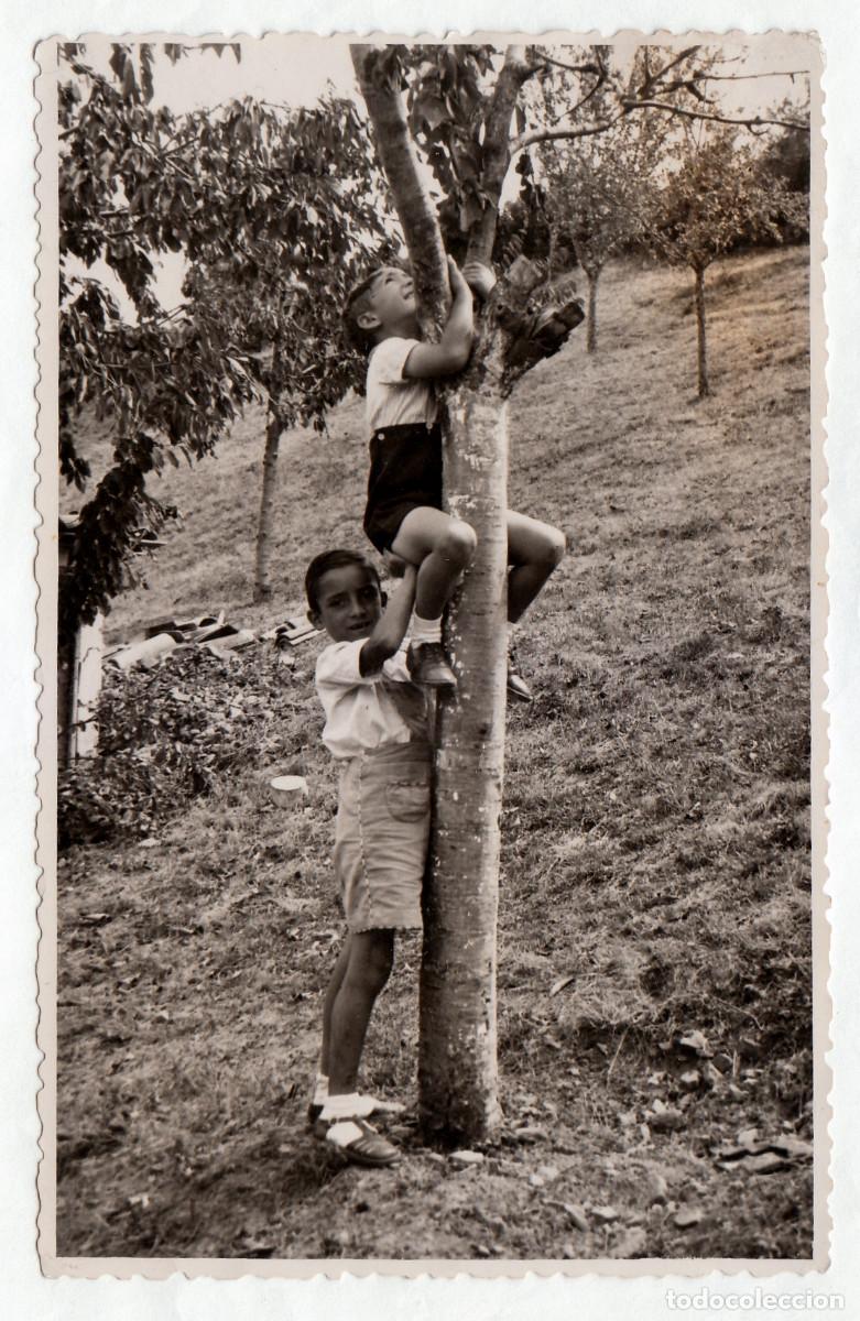 Fotograf&iacute;a antigua: Divertida foto. Dos ni&ntilde;os subiendo a un &aacute;rbol. A&ntilde;os 30-40 bm