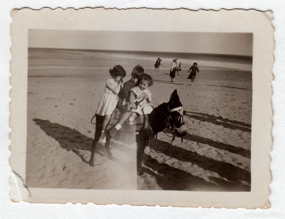Fotograf&iacute;a antigua: Tres ni&ntilde;os subidos a un precioso burrito en la playa. A&ntilde;os 30-40 bm