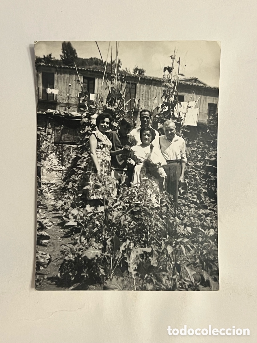 Fotografia antica: OGASSA (Girona) Fotograf&iacute;a familiar un d&iacute;a en el jard&iacute;n.. Verano de 1965. Medidas: 7,5 x 10,5 cm