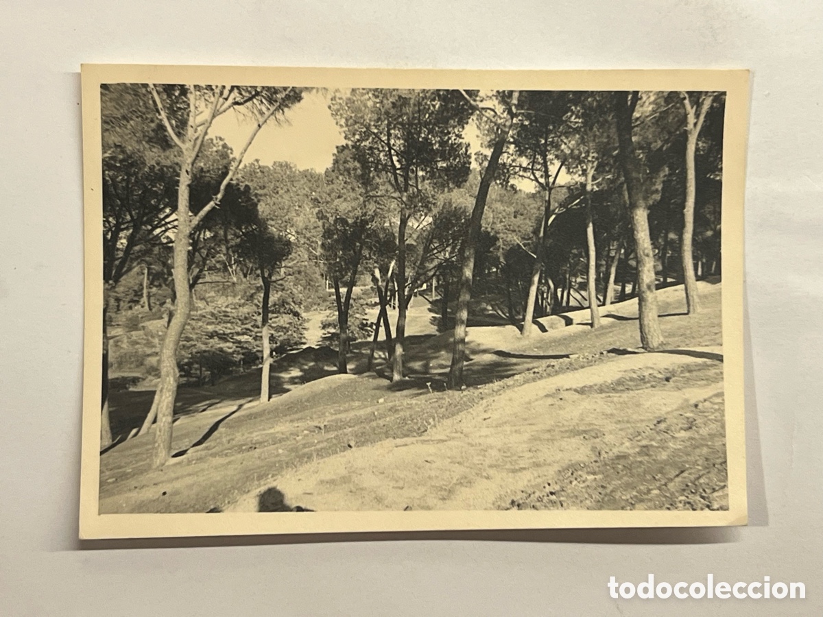 Fotografia antica: VILLAVICIOSA DE ODON (Madrid) Fotograf&iacute;a Pinada, Vista panor&aacute;mica, Noviembre de 1958