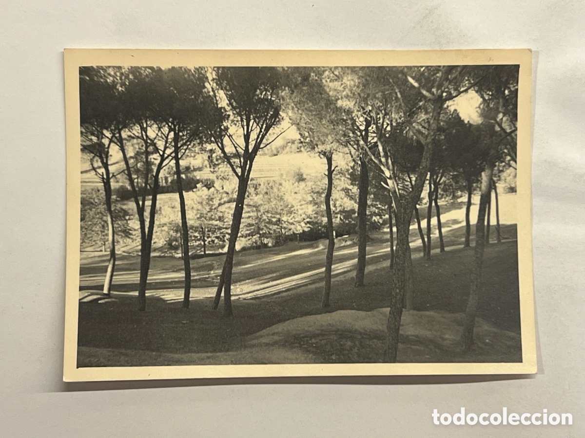 Fotografia antica: VILLAVICIOSA DE ODON (Madrid) Fotograf&iacute;a Pinada, Vista panor&aacute;mica, Noviembre de 1958