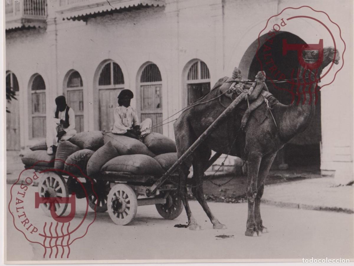 Fotografia antiga: ASIA. PAKISTAN. KARACHI. CAMEL CART. PHOTO FOTO. +- 24X18CM