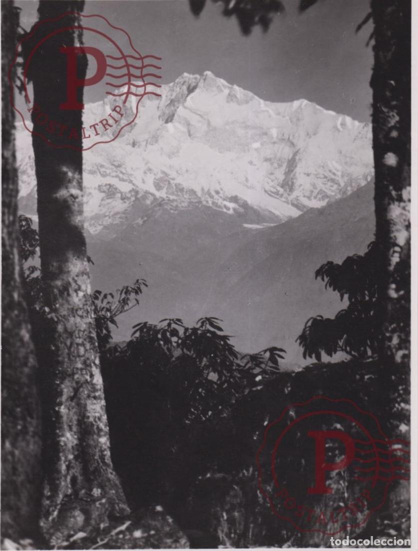 Fotograf&iacute;a antigua: ASIA. INDIA. INDE. DARJEELING. KANCHENJUNGA HILLS. PHOTO FOTO. +- 24.5X18.5CM