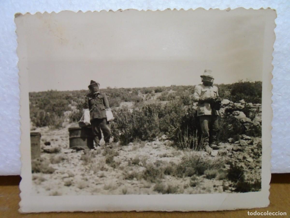 Fotograf&iacute;a antigua: HELLIN(ALBACETE)FOTO DE 9X6`5 CM,FECHADA 10/10/1938.APILCULTORES EN LA SIERRA.