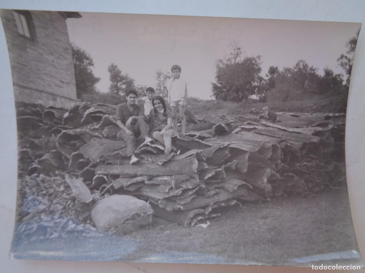 Fotograf&iacute;a antigua: FOTO DE JOVENES SOBRE UNA MONTACHA DE CORCHO . SANTA EUGENIA 1964
