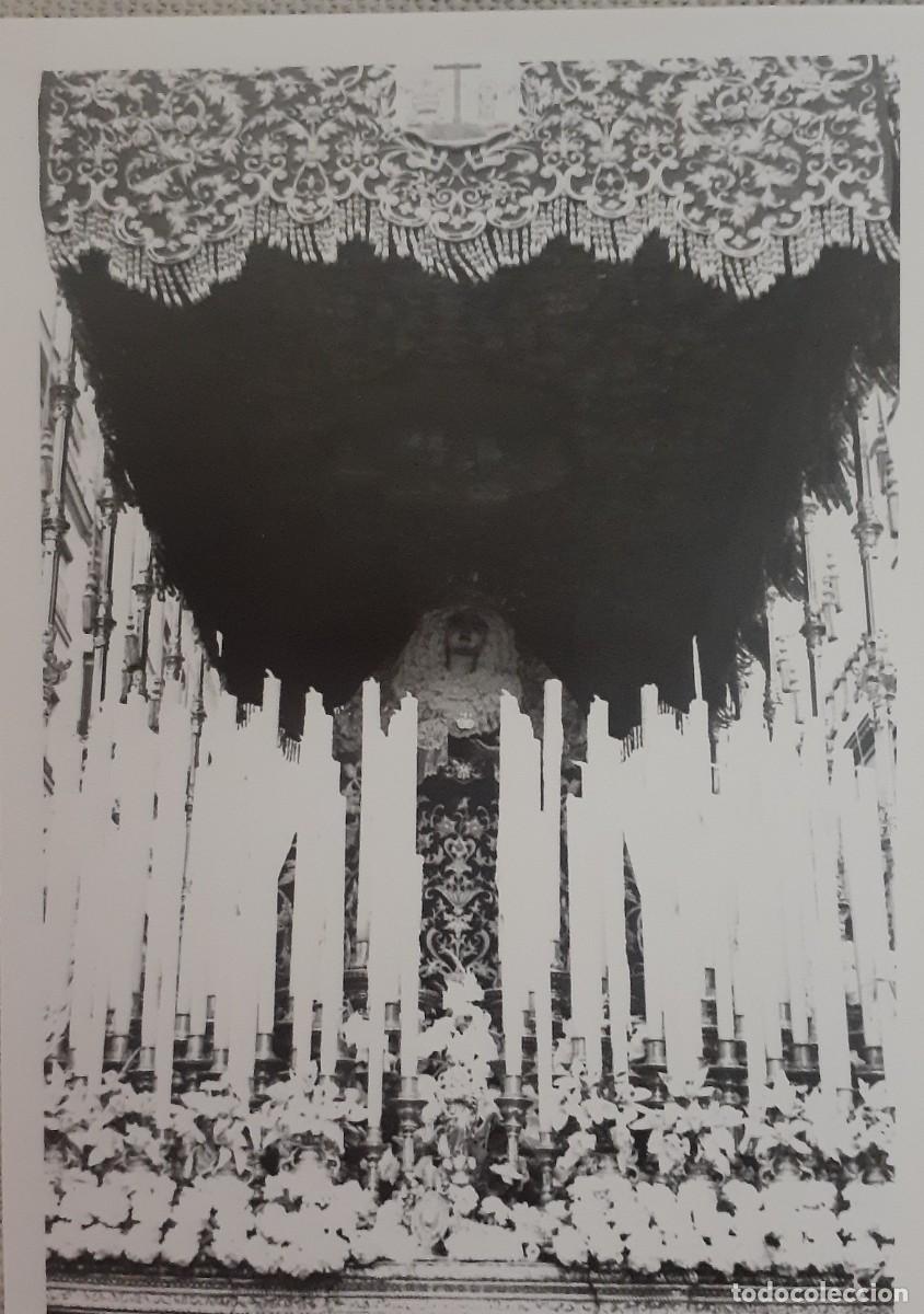 Fotograf&iacute;a antigua: SEMANA SANTA SEVILLA, ANTIGUA FOTOGRAF&Iacute;A MADRE DE DIOS DE LA PALMA , 9X13 CM. APROX.