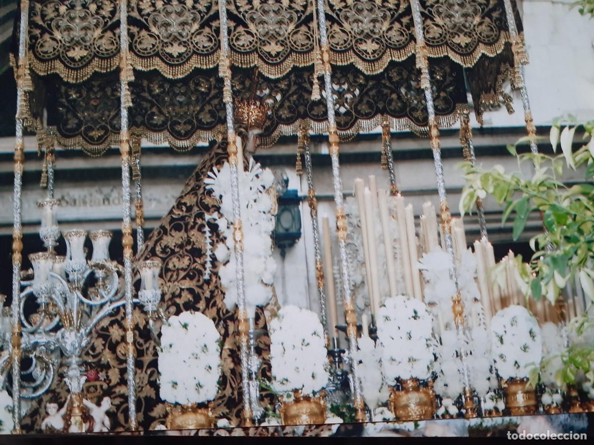 Photographie ancienne: SEMANA SANTA SEVILLA, ANTIGUA FOTOGRAFIA, PALIO VIRGEN DEL REFUGIO (S. BERNARDO), 15X11 CM.